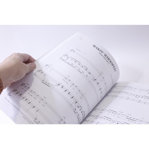 The 16-bar Theatre Audition, Songbook, Tenor, 100 Songs, Anthology, Hal Leonard, - Picture 9 of 9